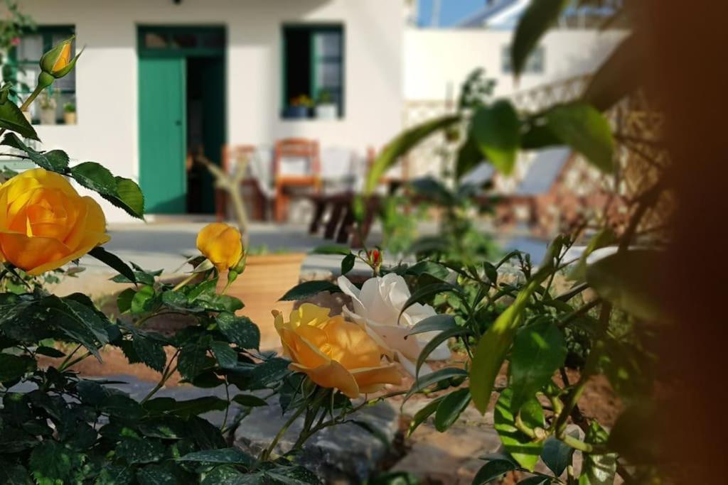 Erofili Cottage House Elounda Esterno foto